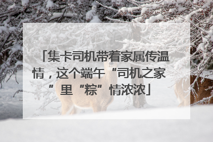 集卡司机带着家属传温情，这个端午“司机之家”里“粽”情浓浓